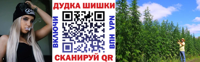 продажа наркотиков  Балашов  Каннабис сатива 